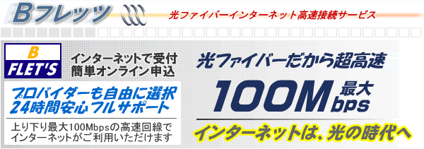 B�t���b�c ���t�@�C�o�[�����璴����